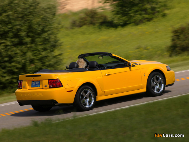 Images of Mustang SVT Cobra Convertible 2002–04 (640 x 480)