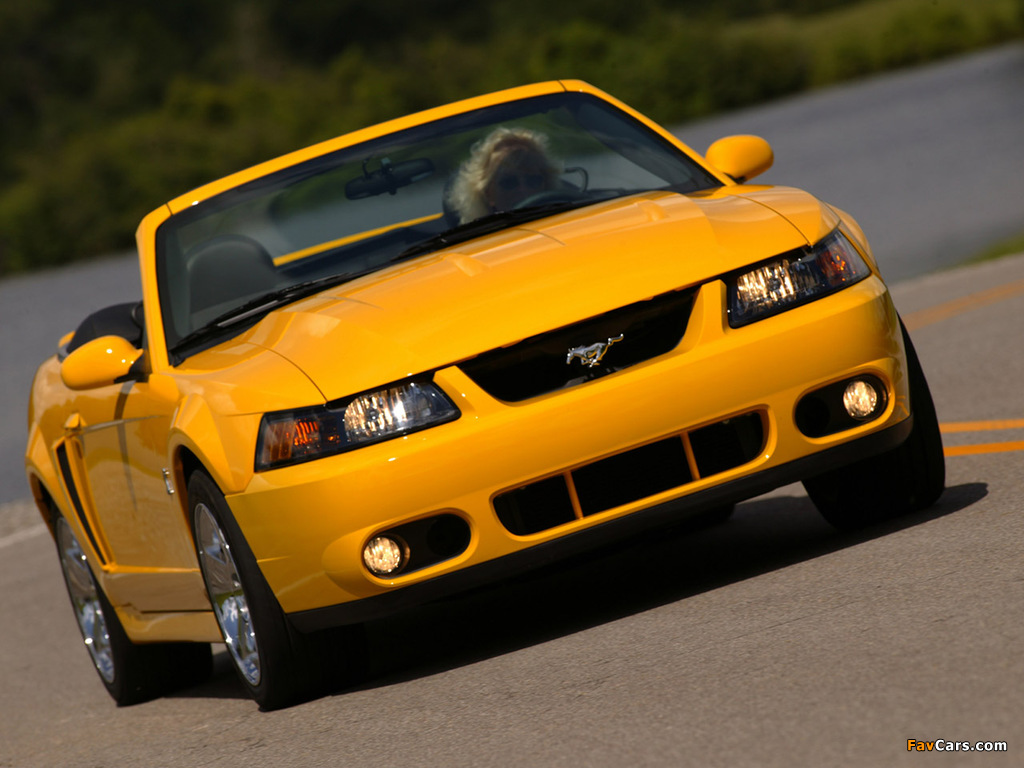 Images of Mustang SVT Cobra Convertible 2002–04 (1024 x 768)