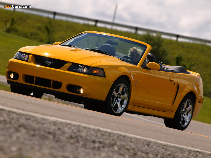 Mustang SVT Cobra Convertible 2002–04 images (800 x 600)