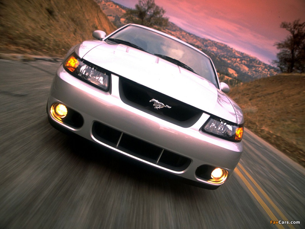 Mustang SVT Cobra Coupe 2002–04 images (1024 x 768)