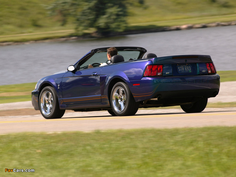 Mustang SVT Cobra Convertible 2002–04 pictures (800 x 600)