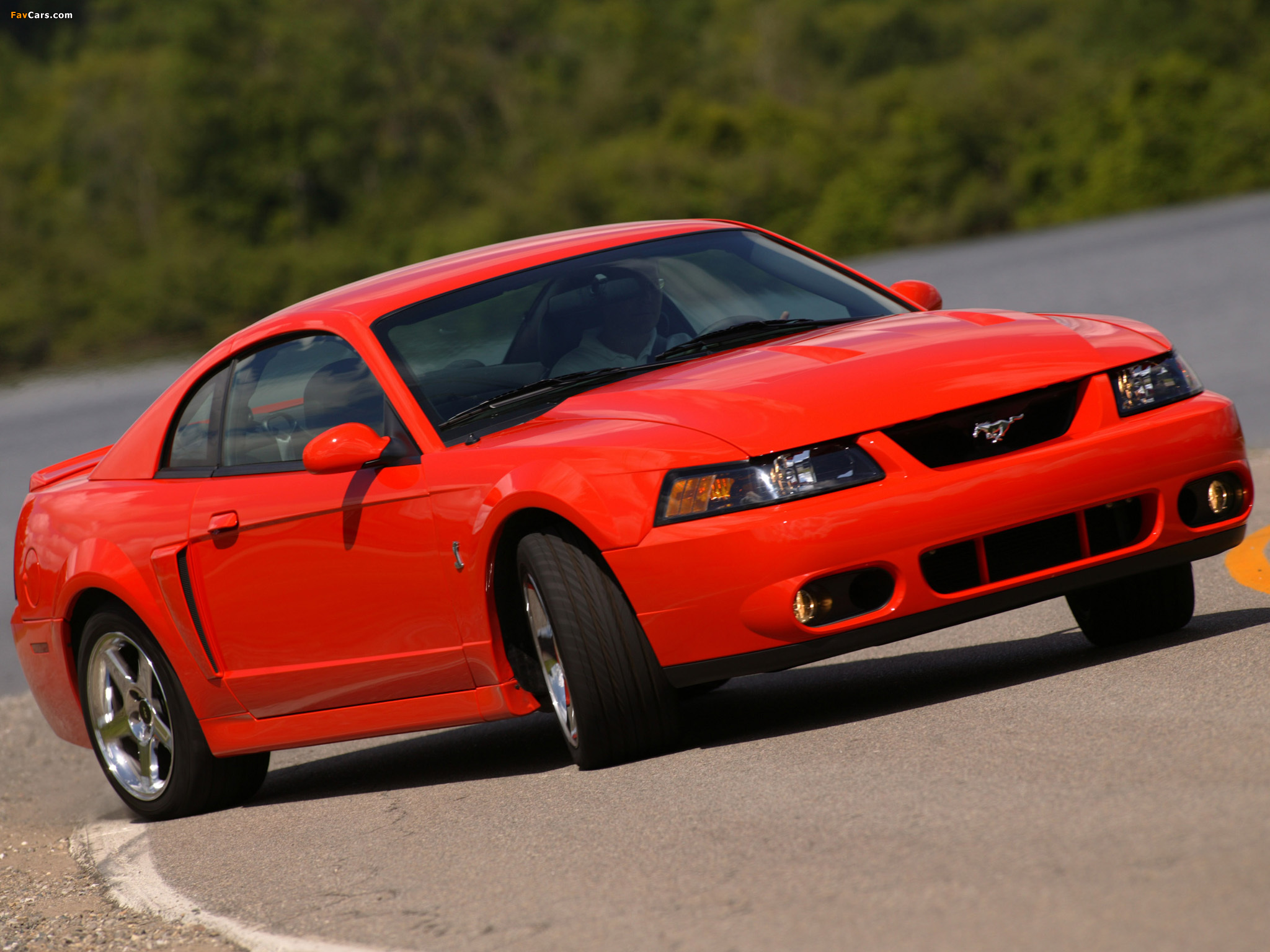 Mustang SVT Cobra Coupe 2002–04 wallpapers (2048 x 1536)