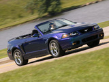 Mustang SVT Cobra Convertible 2002–04 wallpapers