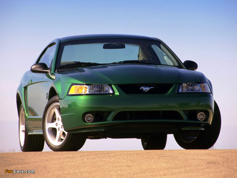 Pictures of Mustang SVT Cobra Coupe 1999–2002 (800 x 600)