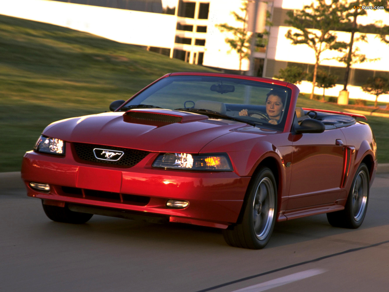 Pictures of Mustang GT Convertible 1999–2004 (1280 x 960)