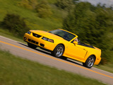 Pictures of Mustang SVT Cobra Convertible 2002–04