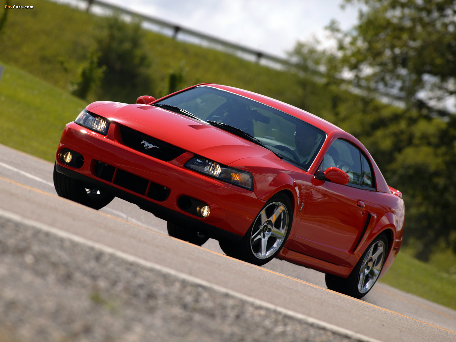 Mustang SVT Cobra Coupe 2002–04 wallpapers (1600 x 1200)