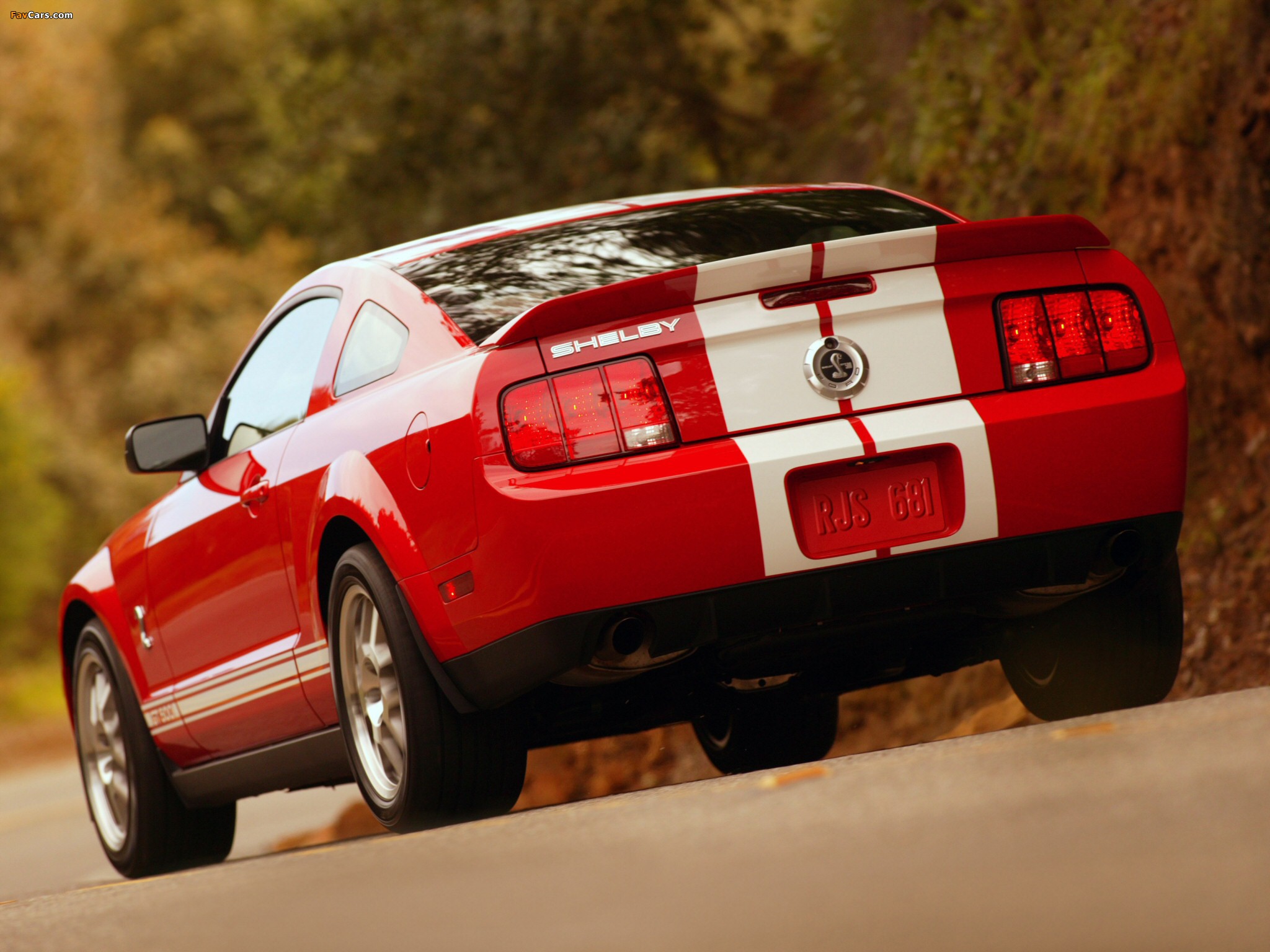 ford mustang gt 500 2007