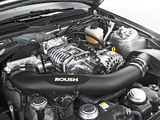 Images of Roush 428R 2008