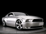 Images of Mustang Iacocca 45th Anniversary Edition 2009