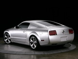 Images of Mustang Iacocca 45th Anniversary Edition 2009