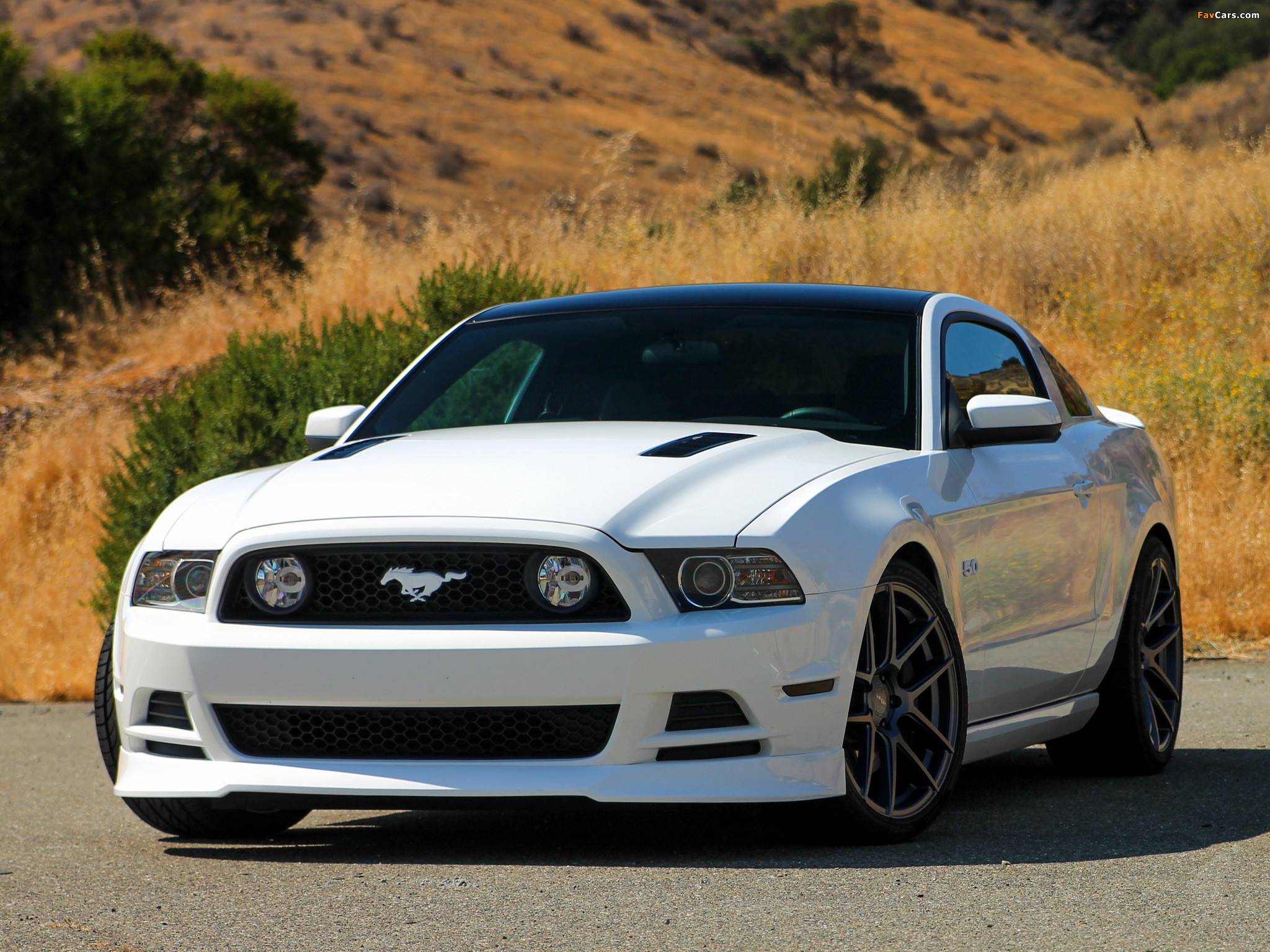 ford mustang gt 5 0