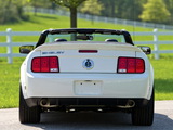 Shelby GT500 Convertible 2005–08 images