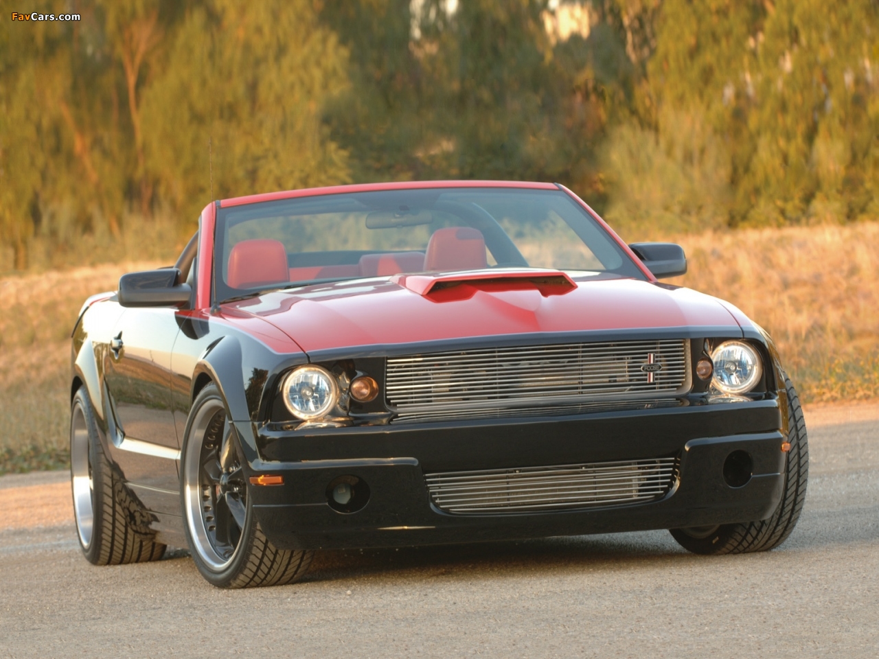 Foose Design Mustang Stallion Convertible 2006 pictures (1280 x 960)