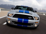 Shelby GT500 KR 40th Anniversary 2008 pictures