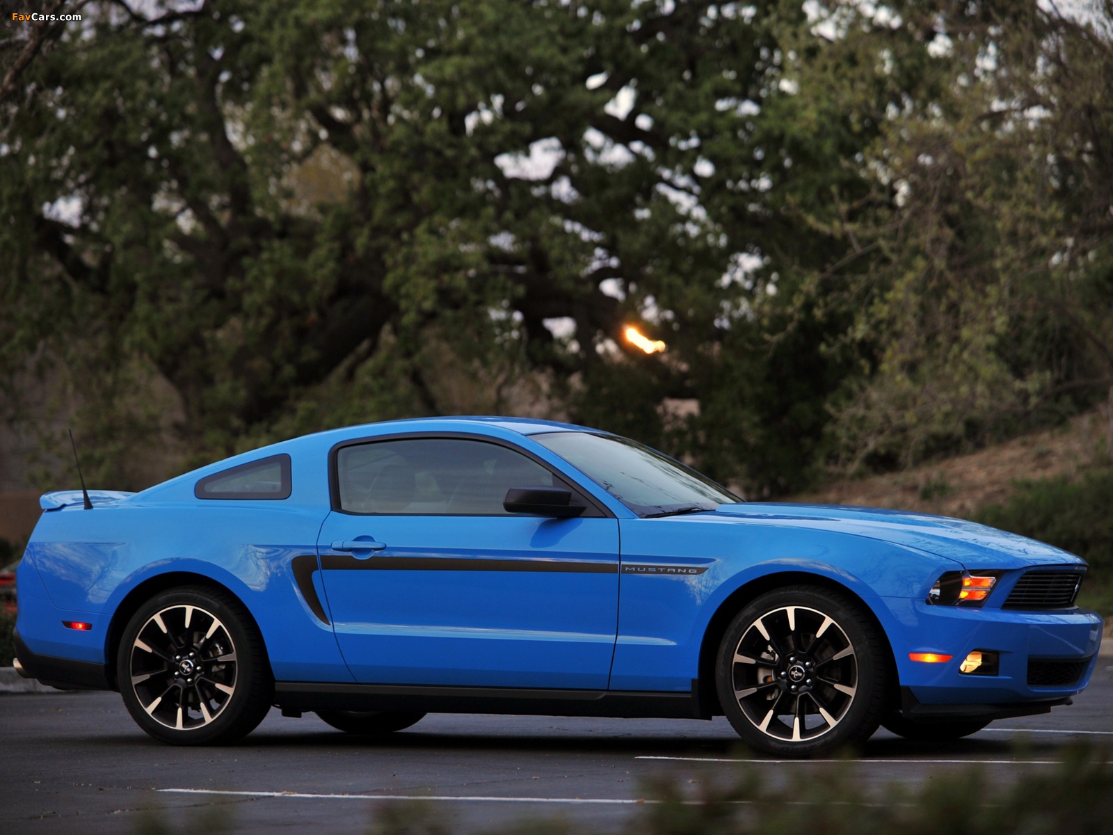Mustang Forums for All Ford Mustangs - The Mustang Authority