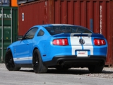Geiger Shelby GT500 2010 images