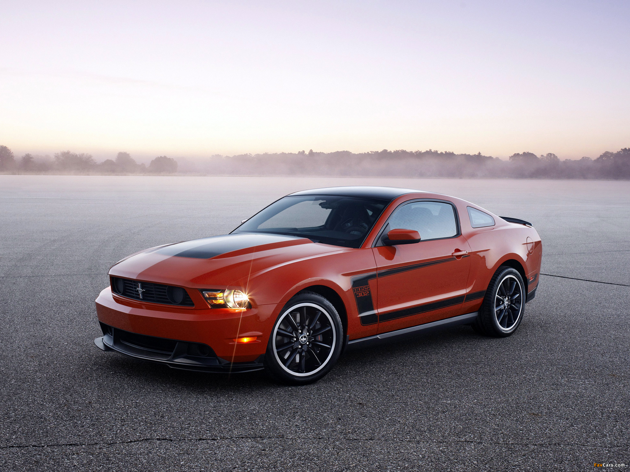 ford mustang boss #11