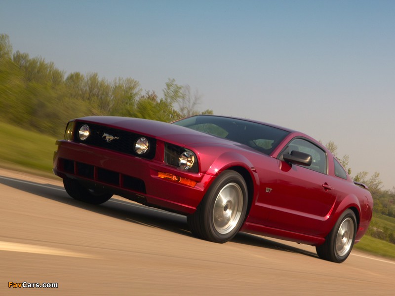 Photos of Mustang GT 2005–08 (800 x 600)