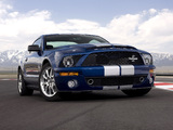 Photos of Shelby GT500 KR 40th Anniversary 2008