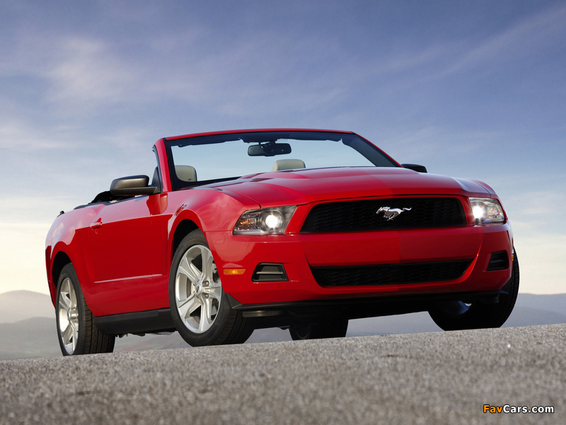 Photos of Mustang Convertible 2009–12 (800 x 600)
