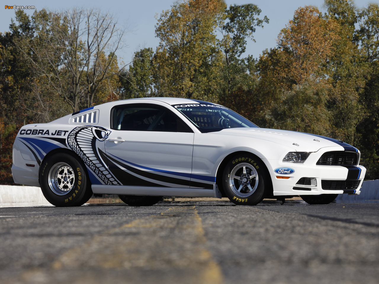 Photos of Ford Mustang Cobra Jet Twin-Turbo Concept 2012 (1280 x 960)