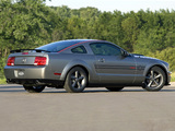 Pictures of Mustang AV8R 2008