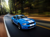 Pictures of Shelby GT500 2009–10