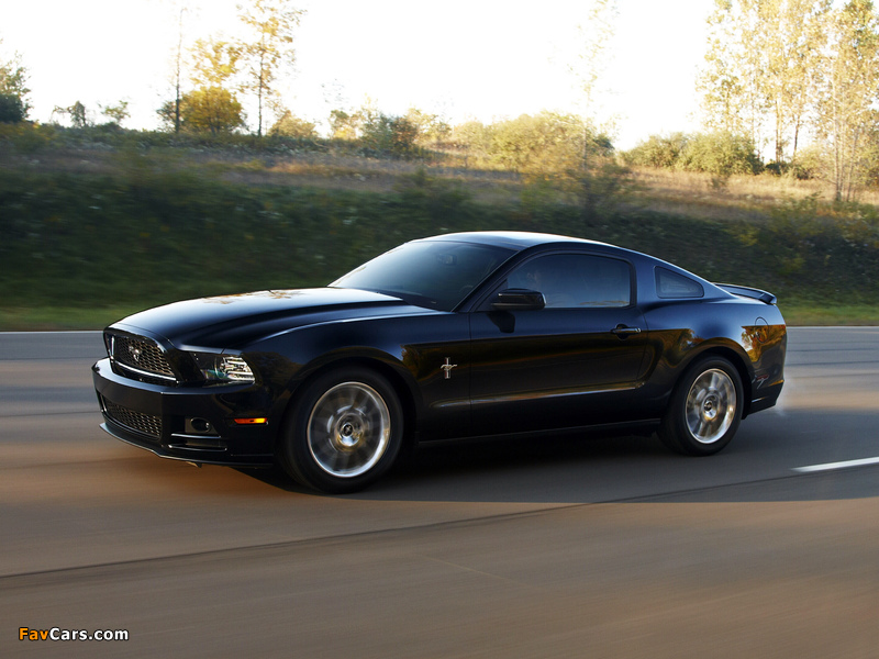 Pictures of Mustang V6 2012 (800 x 600)