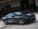 Pictures of Roush RS 2013