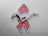 Mustang Coupe Warriors in Pink 2008 wallpapers