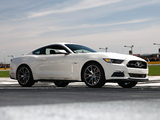 Images of 2015 Mustang GT 50 Years 2014
