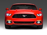 2015 Mustang Coupe 2014 photos