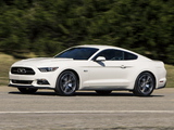 2015 Mustang GT 50 Years 2014 pictures