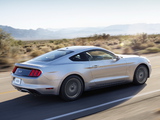 2015 Mustang GT 2014 pictures