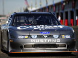 Images of Mustang NASCAR Nationwide Series Race Car 2010