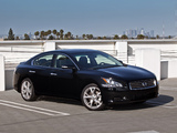 Pictures of Nissan Maxima (A36) 2008