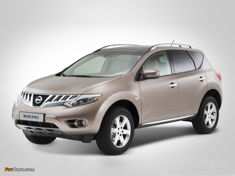 Nissan Murano (Z51) 2008–10 pictures (800 x 600)