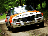 Nissan Silvia RS Rally Car (S110) 1982–85 images