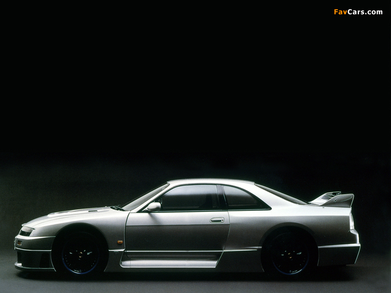 Images of Nismo Nissan Skyline GT-R LM (BCNR33) 1995–96 (800 x 600)