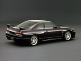 Pictures of Nissan Skyline GT-R (BCNR33) 1995–98