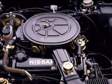 Nissan Stanza FX Z-E Maxima (T11) 1981–83 wallpapers