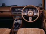 Pictures of Nissan Stanza Resort (T10) 1979–81