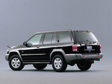 Pictures of Nissan Terrano 4x4 R3m-SE Limited (LR50/TR50) 2001–02