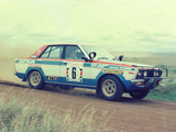 Pictures of Nissan Violet Rally Car (A10) 1978–82
