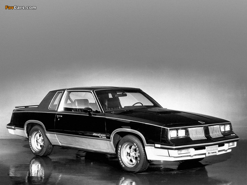 Pictures of Hurst/Olds Cutlass Calais 15th Anniversary 1983 (800 x 600)