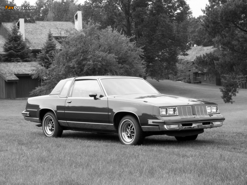 Pictures of Oldsmobile Cutlass Supreme Brougham Coupe (M47) 1985 (800 x 600)