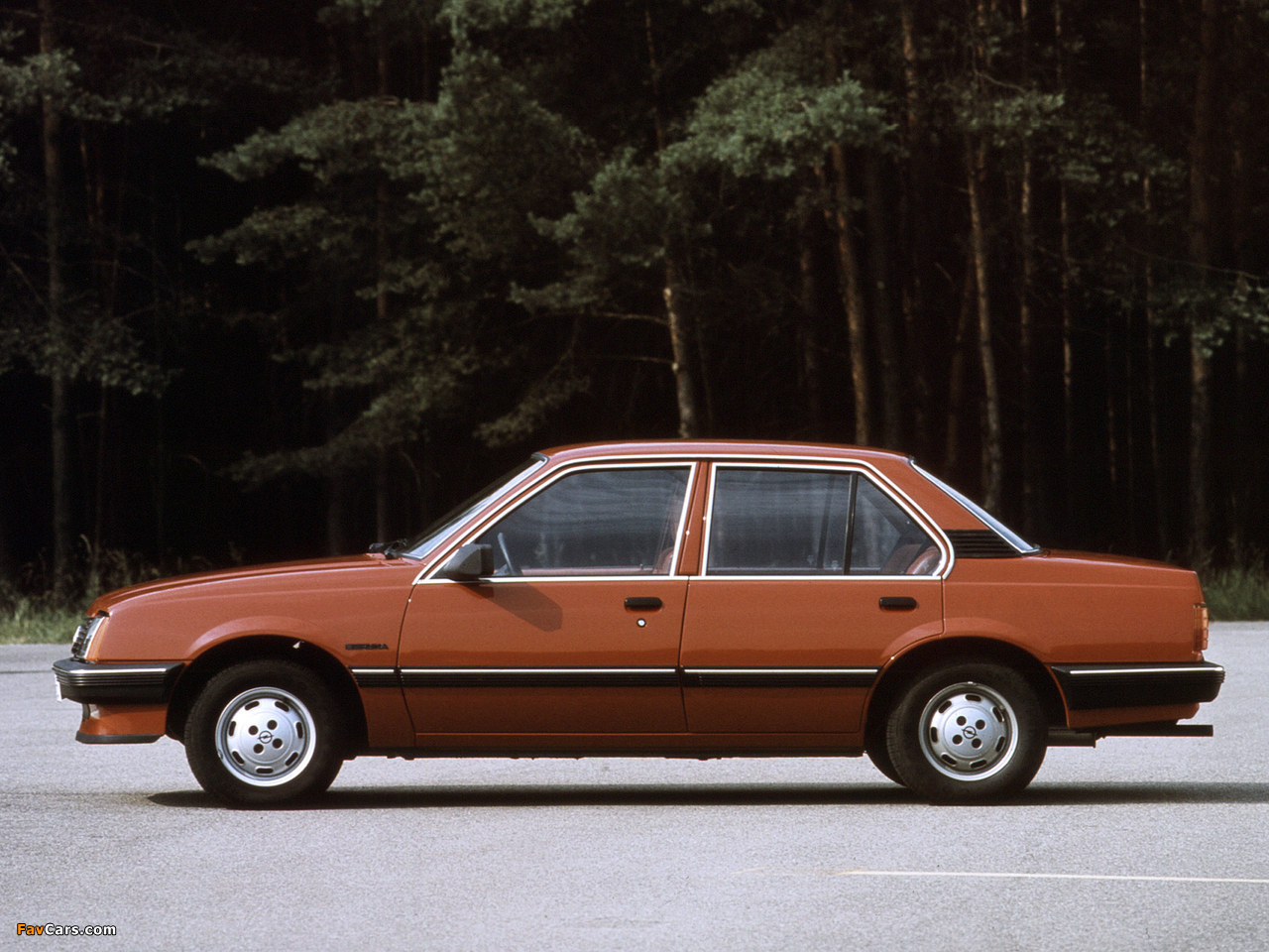 Images of Opel Ascona (C1) 1981–84 (1280 x 960)