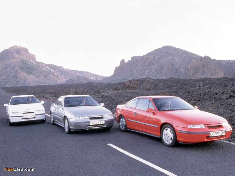 Photos of Opel Calibra (800 x 600)