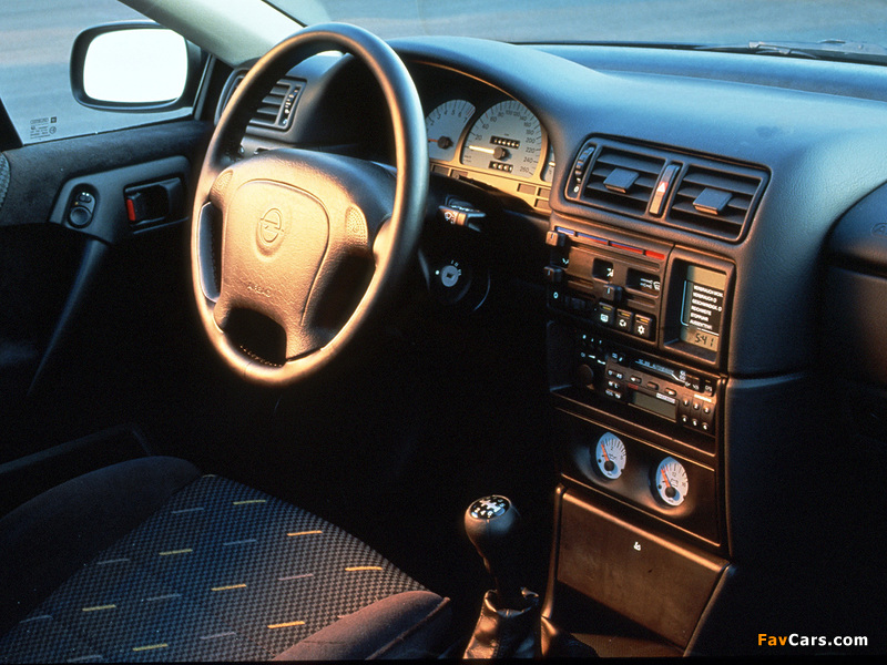Pictures of Opel Calibra DTM Edition 1995–96 (800 x 600)